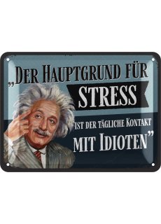 Retro Blechschild Albert Einstein Poster aus Metall mit Zitat, 15x20cm