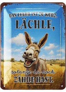 LANOLU Blechschild Lächle Zähne hast Esel 15x20cm
