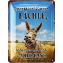 LANOLU Blechschild Lächle Zähne hast Esel 15x20cm