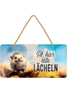 LANOLU Kordelschild Ab hier lächeln Igel 16x32cm