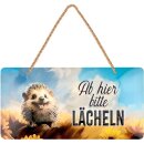 LANOLU Kordelschild Ab hier lächeln Igel 16x32cm