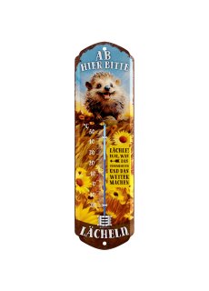 LANOLU Thermometer ab hier lächeln - Igel 8x28cm