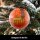 United1871 – Christbaumkugel – Berlin Sehenswürdigkeiten – Ø 9 cm rot/mehrfarbig