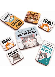 LANOLU – Magnet-Set – Katzen – Mehrfarbig