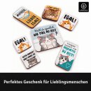 LANOLU – Magnet-Set – Katzen – Mehrfarbig