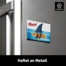 LANOLU – Kühlschrankmagnet – Fisch...