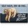 LANOLU – Kühlschrankmagnet – Faultier Faul sein – 8 x 5,5 cm
