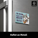LANOLU – Kühlschrankmagnet – Katze Ein...